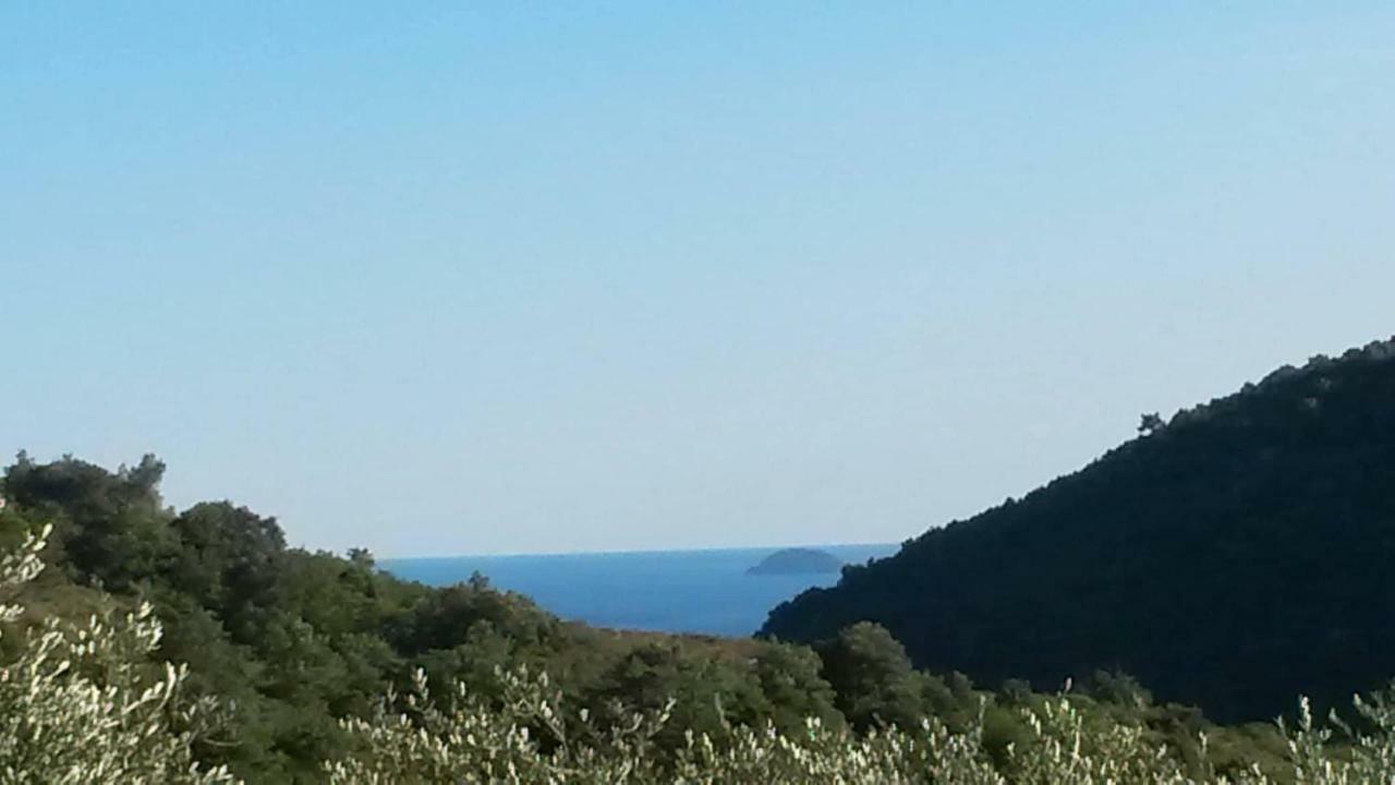 L'Uliveto D'Argento Panzió Finale Ligure Kültér fotó